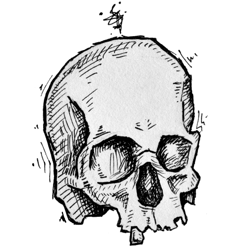 A drawing of a skull